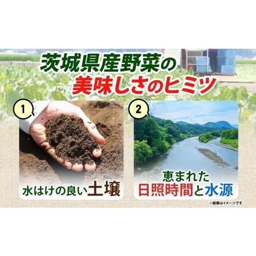ふるさと納税 野菜類 サツマイモ 茨城県 水戸市  5月中旬より発送 冷凍 カット さつまいも 計2.4kg (300g×8袋) 茨城県産 サツマイモ 訳あり 不揃い 芋 いも …の画像