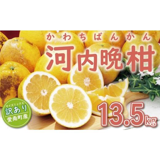 ふるさと納税 みかん・柑橘類 愛媛県 愛南町 訳あり 河内晩柑 13.5kg (サイズミックス) 13000円 傷み保証500g みかん かわちばんかん 愛南ゴールド あいなん …