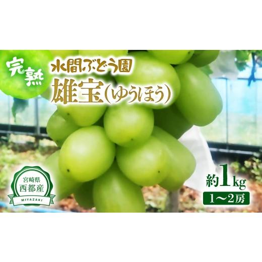 ふるさと納税 ぶどう マスカット 宮崎県 西都市 水間ぶどう園 希少 雄宝 ゆうほう 1kg 1~2房 西都産完熟ぶどう 水間ぶどう園 先行予約 16-7a