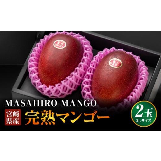ふるさと納税 マンゴー 宮崎県 宮崎市 [2026年発送先行予約] 数量・期間限定 農家直送 MASAHIRO MANGO 宮崎県産完熟マンゴー 2Lサイズ×2玉| 800g以上 2個 …