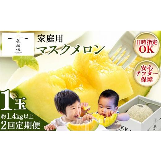 ふるさと納税 メロン メロン青肉 高知県 香南市 2回定期便 一果相伝マスクメロン 家庭用 1玉入 めろん 青肉 果物 くだもの フルーツ 家庭用 ギフト お礼 御礼…