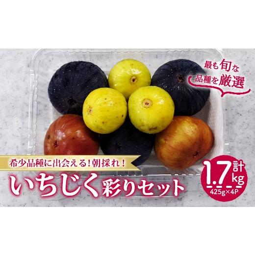 ふるさと納税 いちじく 香川県 まんのう町 先行予約 2026年8月下旬以降順次発送予定 様々な品種のいちじく詰め合わせセット(約425g×4P・約1.7kg) man369 は…