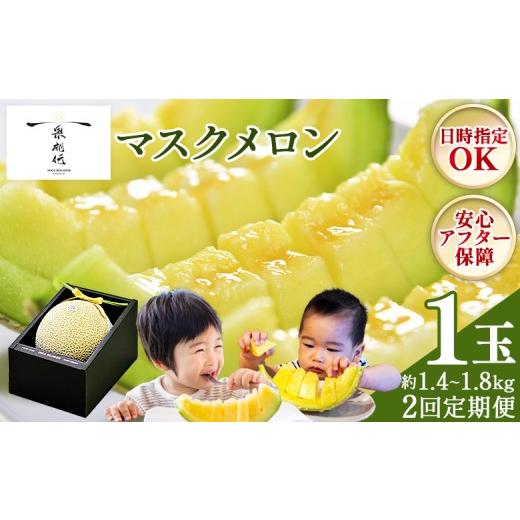 ふるさと納税 メロン メロン青肉 高知県 香南市 2回定期便 一果相伝マスクメロン 贈答用 1玉入 めろん 青肉 果物 くだもの フルーツ 贈答用 ギフト お礼 御礼…