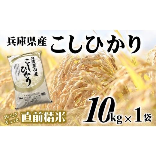 ふるさと納税 米 コシヒカリ 兵庫県 西脇市 7営業日以内発送 コシヒカリ 10kg 白米 令和7年産 城口商店 米 お米 10kg 米10kg 兵庫県産 こしひかり コシヒカ…