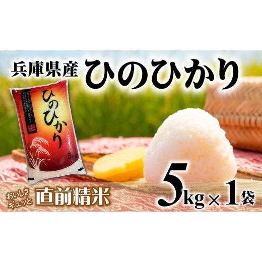 ふるさと納税 米 ヒノヒカリ 兵庫県 西脇市 7営業日以内発送 ヒノヒカリ 5kg 白米 令和7年産 城口商店 米 お米 5kg 米5kg 兵庫県産 ひのひかり 令和7年産 R…