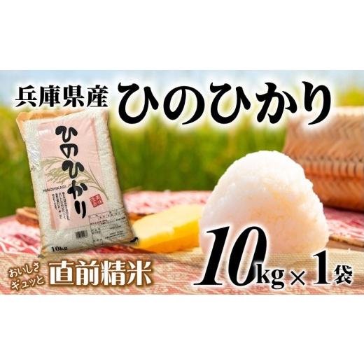 ふるさと納税 米 ヒノヒカリ 兵庫県 西脇市 7営業日以内発送 ヒノヒカリ 10kg 白米 令和7年産 城口商店 米 お米 10kg 米10kg 兵庫県産 ひのひかり ヒノヒカ…