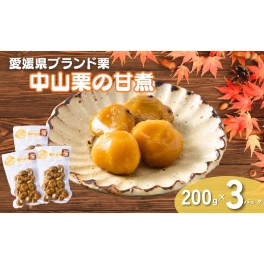 ふるさと納税 加工品等 愛媛県 伊予市 中山栗 栗の甘煮 3パックセット 200gx3 着色料不使用 無添加 ゆうパケット 少量パック 手作り デザート おやつ きんとん…