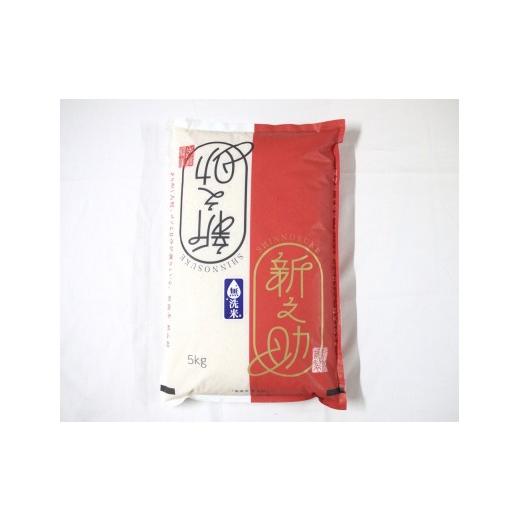 ふるさと納税 米 新潟県 村上市 令和7年産米 無洗米 新潟県村上市 岩船産 新之助5kg 1029013