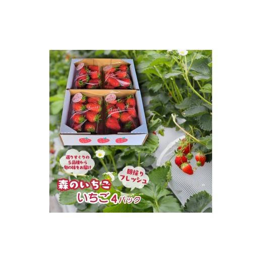 ふるさと納税 いちご 千葉県 八街市 八街 森のいちごファームのイチゴ 4パックセット いちご イチゴ 苺 [ 紅ほっぺ・章姫( あきひめ )・はるひ・やよい姫・…