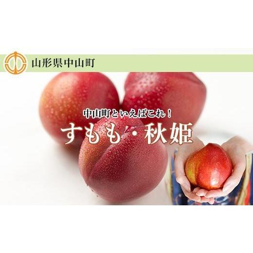ふるさと納税 果物類 山形県 中山町 2026年度受付開始 中山町といえばこれ すもも「秋姫」秀 5L〜6L 8〜9玉入り2.4kg(1.2kg×2パック)