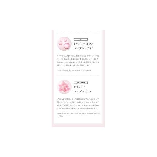 ふるさと納税 美容 山梨県 北杜市 〔アクシージア〕ビューティーアイズ エッセンシート プレミアム プラス（目元用シートマスク）　60枚入り 目元ケア スキン…_4