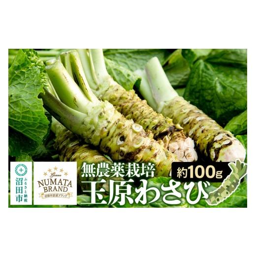ふるさと納税 野菜類 薬味 群馬県 沼田市 ぬまたブランド農産物 玉原わさび 生ワサビ 約100g 生わさび 生ワサビ 生山葵 本わさび 本ワサビ 本山葵