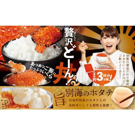 ふるさと納税 いくら 北海道 別海町 ロシア産・鮭いくら醤油漬け250g（ いくら イクラ 鮭卵 鮭いくら 鮭イクラ 魚卵 醤油いくら 醤油イクラ いくら醤油漬 イク…の画像