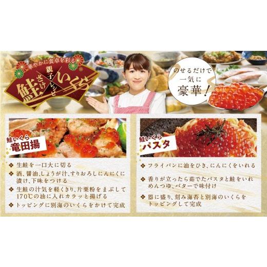 ふるさと納税 いくら 北海道 別海町 ロシア産・鮭いくら醤油漬け250g（ いくら イクラ 鮭卵 鮭いくら 鮭イクラ 魚卵 醤油いくら 醤油イクラ いくら醤油漬 イク…の画像
