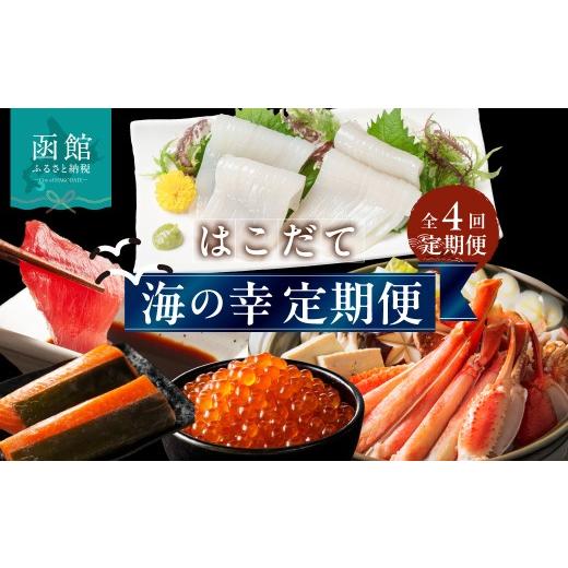 ふるさと納税 魚貝類 北海道 函館市 はこだて海の幸 定期便 25万円 全4回 厳選 海の恵み いくら 紅鮭 鮭フレーク とろサーモン昆布 正油漬 塩だれ いかそうめ…_1