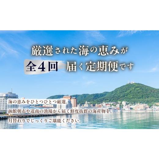 ふるさと納税 魚貝類 北海道 函館市 はこだて海の幸 定期便 25万円 全4回 厳選 海の恵み いくら 紅鮭 鮭フレーク とろサーモン昆布 正油漬 塩だれ いかそうめ…_2