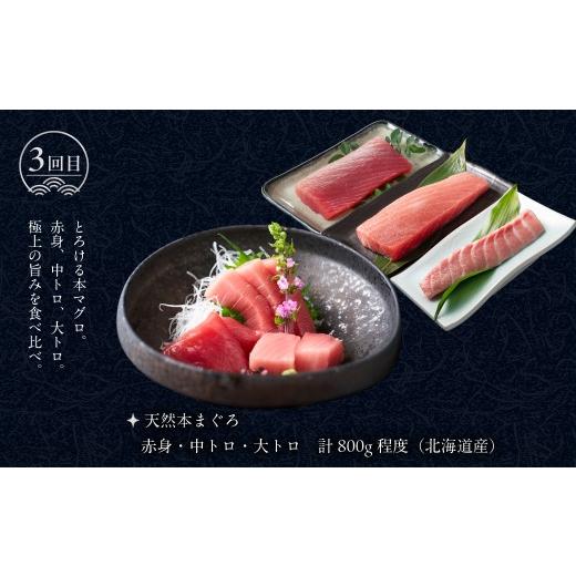 ふるさと納税 魚貝類 北海道 函館市 はこだて海の幸 定期便 25万円 全4回 厳選 海の恵み いくら 紅鮭 鮭フレーク とろサーモン昆布 正油漬 塩だれ いかそうめ…_5