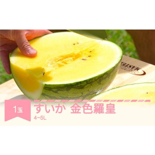ふるさと納税 スイカ 山形県 村山市 先行予約 すいか 大玉 金色羅皇 4L~5L×1玉 令和8年産 山形県村山市産 mk-sukrx41