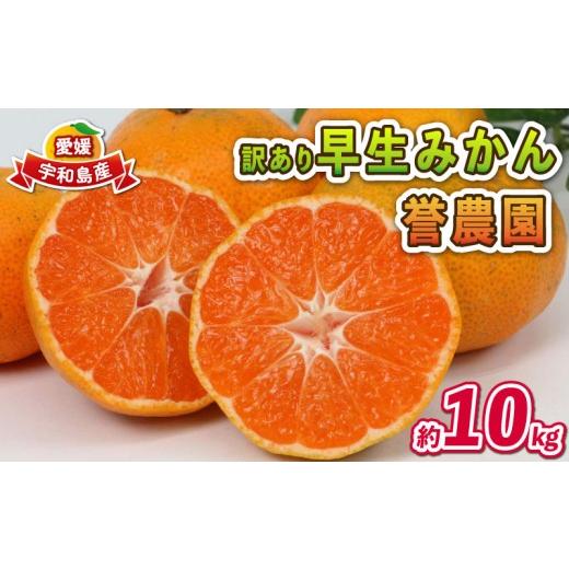ふるさと納税 果物類 みかん 愛媛県 宇和島市 愛媛みかん 訳あり 早生みかん 10kg 誉農園 先行予約 愛媛ミカン 愛媛蜜柑 みかん 蜜柑 mikan 果物 くだもの フ…