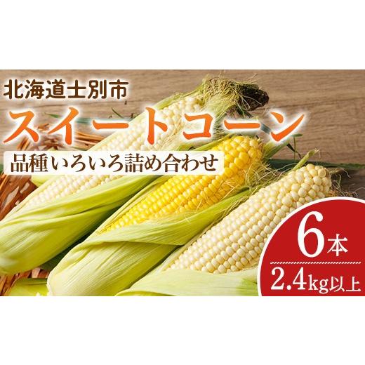 ふるさと納税 とうもろこし 北海道 士別市 期間限定 天塩川源流スイートコーン 品種いろいろ詰め合わせ (6本) 2026年8月下旬より順次発送 北海道産 北海道 士…