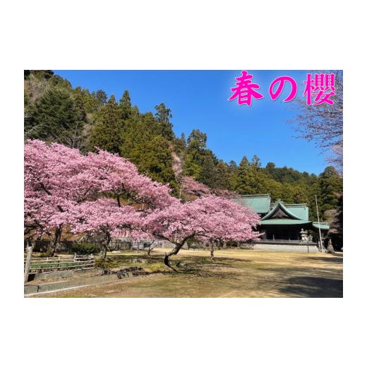 ふるさと納税 入場券・優待券 徳島県 三好市 箸蔵山 ロープウェイ チケット 利用券 大人 2枚 子ども 1枚 現地 購入可能 箸蔵寺 境内 案内 瞑想 アクティビティ…_2