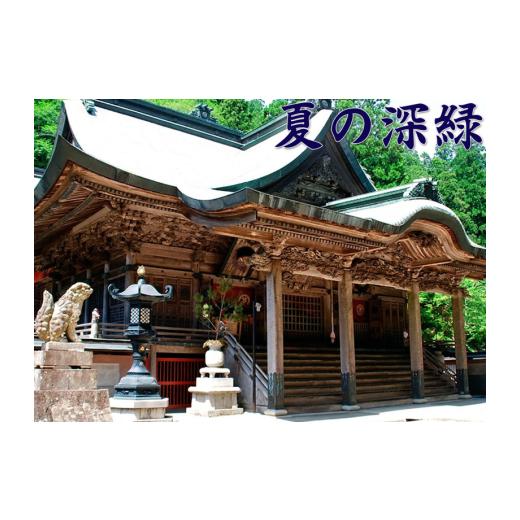 ふるさと納税 入場券・優待券 徳島県 三好市 箸蔵山 ロープウェイ チケット 利用券 大人 2枚 子ども 1枚 現地 購入可能 箸蔵寺 境内 案内 瞑想 アクティビティ…_3