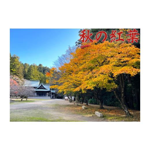ふるさと納税 入場券・優待券 徳島県 三好市 箸蔵山 ロープウェイ チケット 利用券 大人 2枚 子ども 1枚 現地 購入可能 箸蔵寺 境内 案内 瞑想 アクティビティ…_4