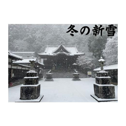 ふるさと納税 入場券・優待券 徳島県 三好市 箸蔵山 ロープウェイ チケット 利用券 大人 2枚 子ども 1枚 現地 購入可能 箸蔵寺 境内 案内 瞑想 アクティビティ…_5