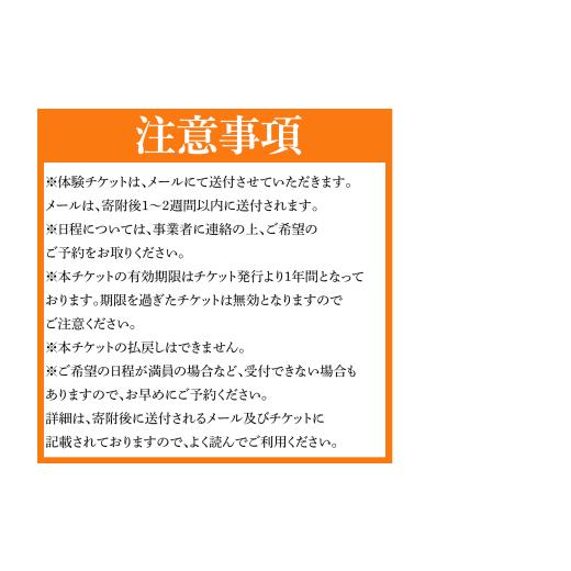 ふるさと納税 入場券・優待券 徳島県 三好市 箸蔵山 ロープウェイ チケット 利用券 大人 2枚 子ども 1枚 現地 購入可能 箸蔵寺 境内 案内 瞑想 アクティビティ…_6
