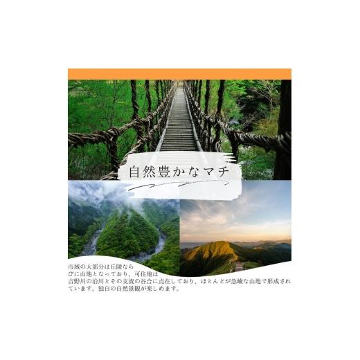 ふるさと納税 入場券・優待券 徳島県 三好市 箸蔵山 ロープウェイ チケット 利用券 大人 2枚 子ども 1枚 現地 購入可能 箸蔵寺 境内 案内 瞑想 アクティビティ…_8
