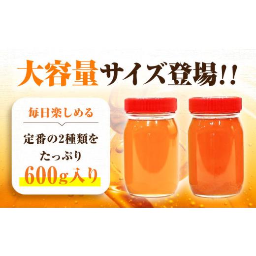 ふるさと納税 加工品等 はちみつ 広島県 三次市 はちみつ 重森養蜂場のはちみつ 大容量2種2本セット（ソヨゴ・みかん）各600g×1本 はちみつ 蜂蜜 ハチミツ ハ…の画像