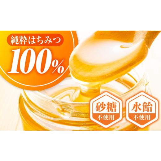 ふるさと納税 加工品等 はちみつ 広島県 三次市 はちみつ 重森養蜂場のはちみつ 大容量2種2本セット（ソヨゴ・みかん）各600g×1本 はちみつ 蜂蜜 ハチミツ ハ…の画像