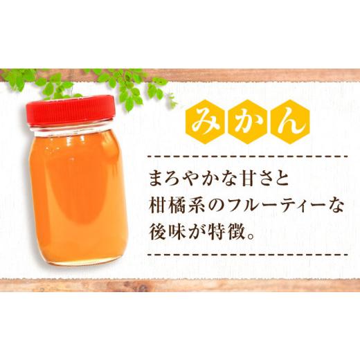 ふるさと納税 加工品等 はちみつ 広島県 三次市 はちみつ 重森養蜂場のはちみつ 大容量2種2本セット（ソヨゴ・みかん）各600g×1本 はちみつ 蜂蜜 ハチミツ ハ…の画像