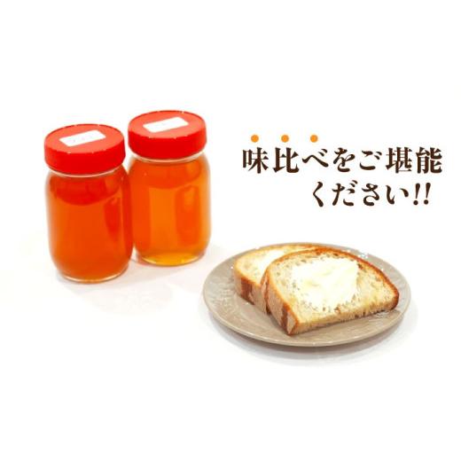 ふるさと納税 加工品等 はちみつ 広島県 三次市 はちみつ 重森養蜂場のはちみつ 大容量2種2本セット（ソヨゴ・みかん）各600g×1本 はちみつ 蜂蜜 ハチミツ ハ…の画像
