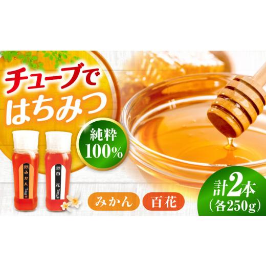 ふるさと納税 加工品等 はちみつ 広島県 三次市 はちみつ 手軽に簡単チューブはちみつ(百花・みかん)各250g 計2本セット 三次市/重森養蜂場 APBO009 はちみ…