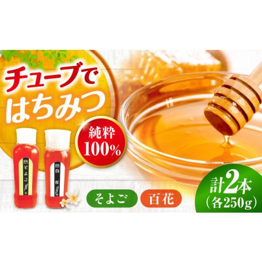 ふるさと納税 加工品等 はちみつ 広島県 三次市 はちみつ 手軽に簡単チューブはちみつ(百花・そよご)各250g 計2本セット 三次市/重森養蜂場 APBO010 はちみ…