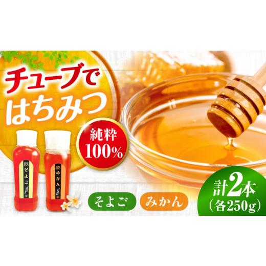 ふるさと納税 加工品等 はちみつ 広島県 三次市 はちみつ 手軽に簡単チューブはちみつ(みかん・そよご)各250g 計2本セット 三次市/重森養蜂場 APBO012 はち…