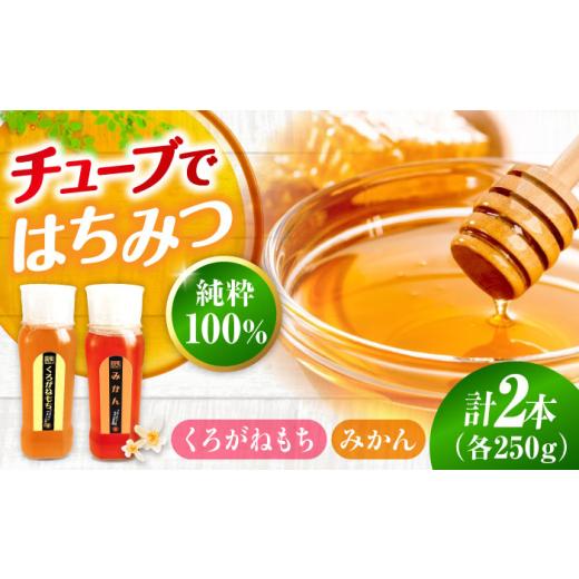 ふるさと納税 加工品等 はちみつ 広島県 三次市 はちみつ 手軽に簡単チューブはちみつ(みかん・くろがねもち)各250g 計2本セット 三次市/重森養蜂場 APBO01…