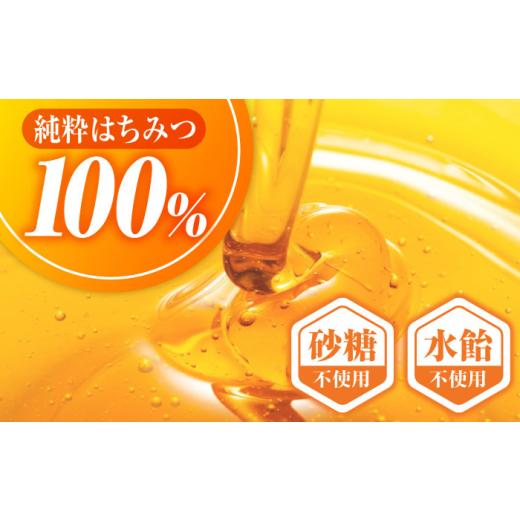 ふるさと納税 加工品等 はちみつ 広島県 三次市  母の日 はちみつ 手軽に簡単チューブはちみつ（百花・そよご）各500g 計2本セット 三次市／重森養蜂場 APBO00…の画像