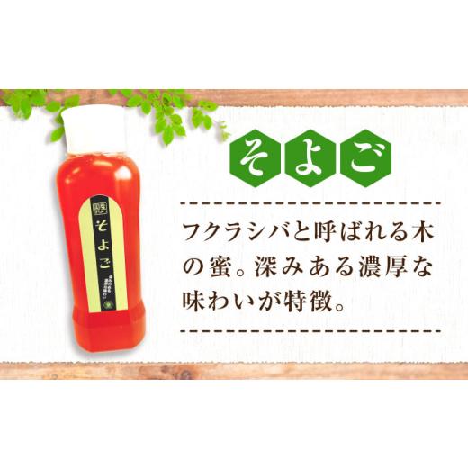 ふるさと納税 加工品等 はちみつ 広島県 三次市  母の日 はちみつ 手軽に簡単チューブはちみつ（百花・そよご）各500g 計2本セット 三次市／重森養蜂場 APBO00…の画像