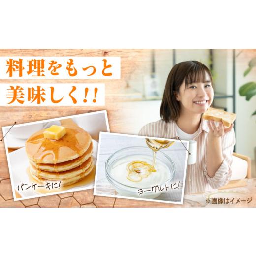 ふるさと納税 加工品等 はちみつ 広島県 三次市  母の日 はちみつ 手軽に簡単チューブはちみつ（百花・そよご）各500g 計2本セット 三次市／重森養蜂場 APBO00…の画像