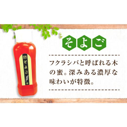 ふるさと納税 加工品等 はちみつ 広島県 三次市  母の日 はちみつ 手軽に簡単チューブはちみつ（そよご・くろがねもち）各500g 計2本セット 三次市／重森養蜂…の画像