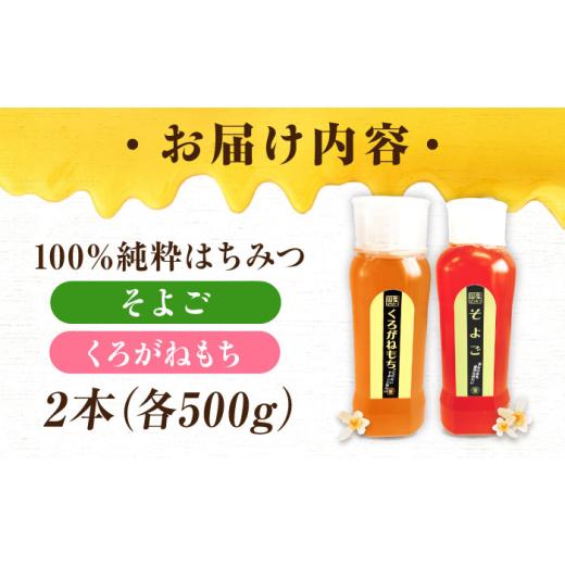 ふるさと納税 加工品等 はちみつ 広島県 三次市  母の日 はちみつ 手軽に簡単チューブはちみつ（そよご・くろがねもち）各500g 計2本セット 三次市／重森養蜂…の画像