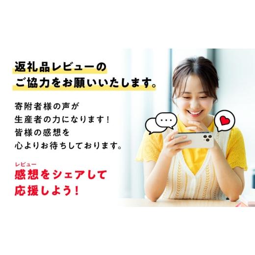 ふるさと納税 加工品等 はちみつ 広島県 三次市  母の日 はちみつ 手軽に簡単チューブはちみつ（そよご・くろがねもち）各500g 計2本セット 三次市／重森養蜂…の画像