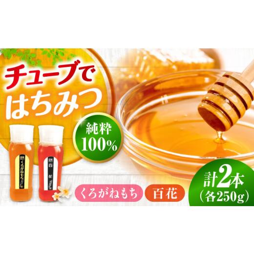 ふるさと納税 加工品等 はちみつ 広島県 三次市 母の日 はちみつ 手軽に簡単チューブはちみつ(百花・くろがねもち)各250g 計2本セット 三次市/重森養蜂場 …