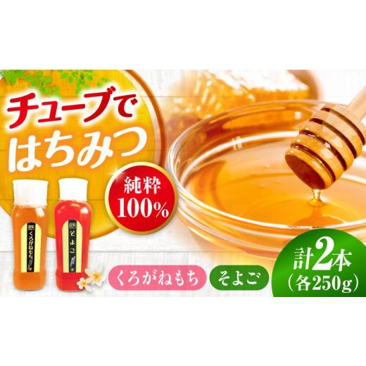 ふるさと納税 加工品等 はちみつ 広島県 三次市 母の日 はちみつ 手軽に簡単チューブはちみつ(そよご・くろがねもち)各250g 計2本セット 三次市/重森養蜂…