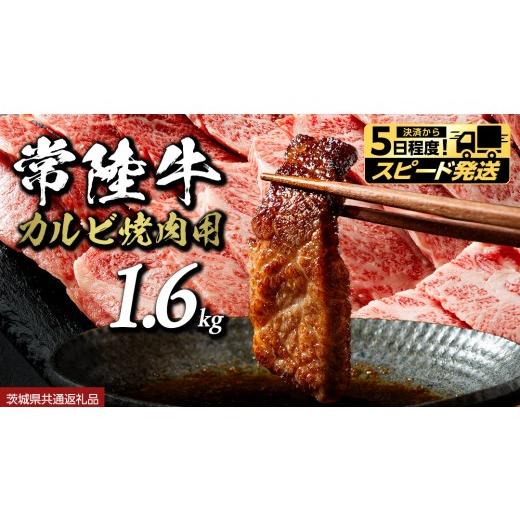 ふるさと納税 牛肉 焼肉・バーベキュー 茨城県 つくばみらい市 スピード発送 常陸牛 焼肉用カルビ 1.6kg (茨城県共通返礼品) ひたちぎゅう カルビ焼肉 牛肉 …