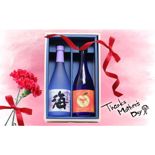 ふるさと納税 焼酎 セット 鹿児島県 垂水市 A1-25145-mo2026/ 2026母の日ギフト apple-rance 海 720ml 2本