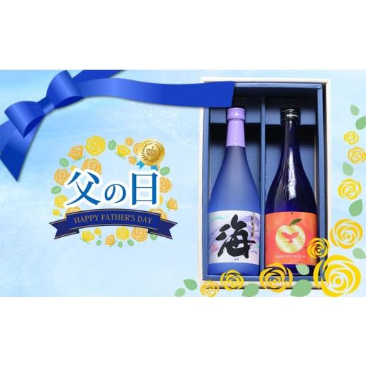 ふるさと納税 焼酎 セット 鹿児島県 垂水市 A1-25145-fa2026/ 2026父の日ギフト apple-rance 海 720ml 2本