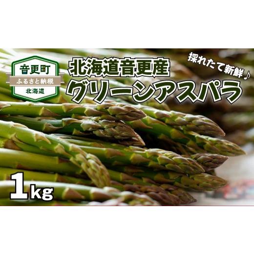 ふるさと納税 野菜類 アスパラガス 北海道 音更町 [先行受付] おとふけ産グリーンアスパラ 1kg A133 2026年5月中旬頃より順次発送